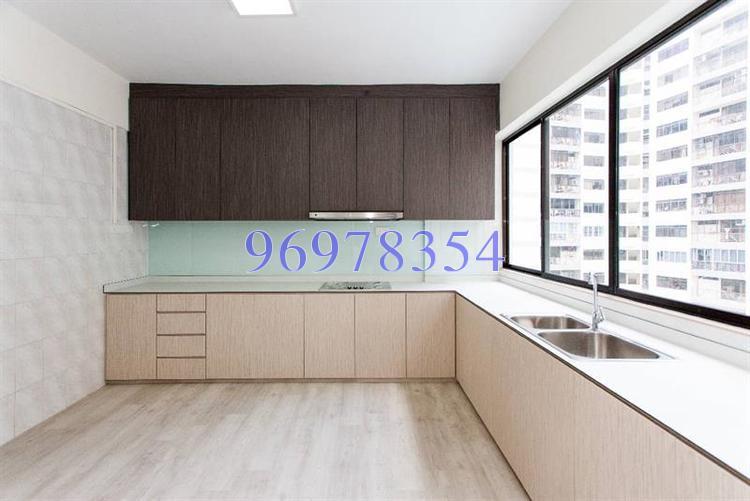 Nadia Mansions (D12), Apartment #166865812